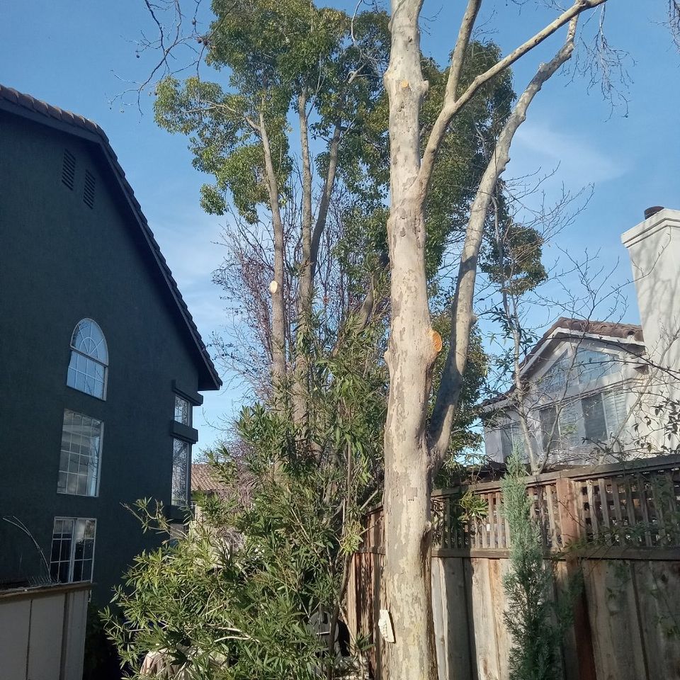 O   2024 04 17t154337.766