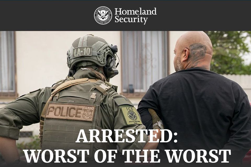 Homeland security   arrested