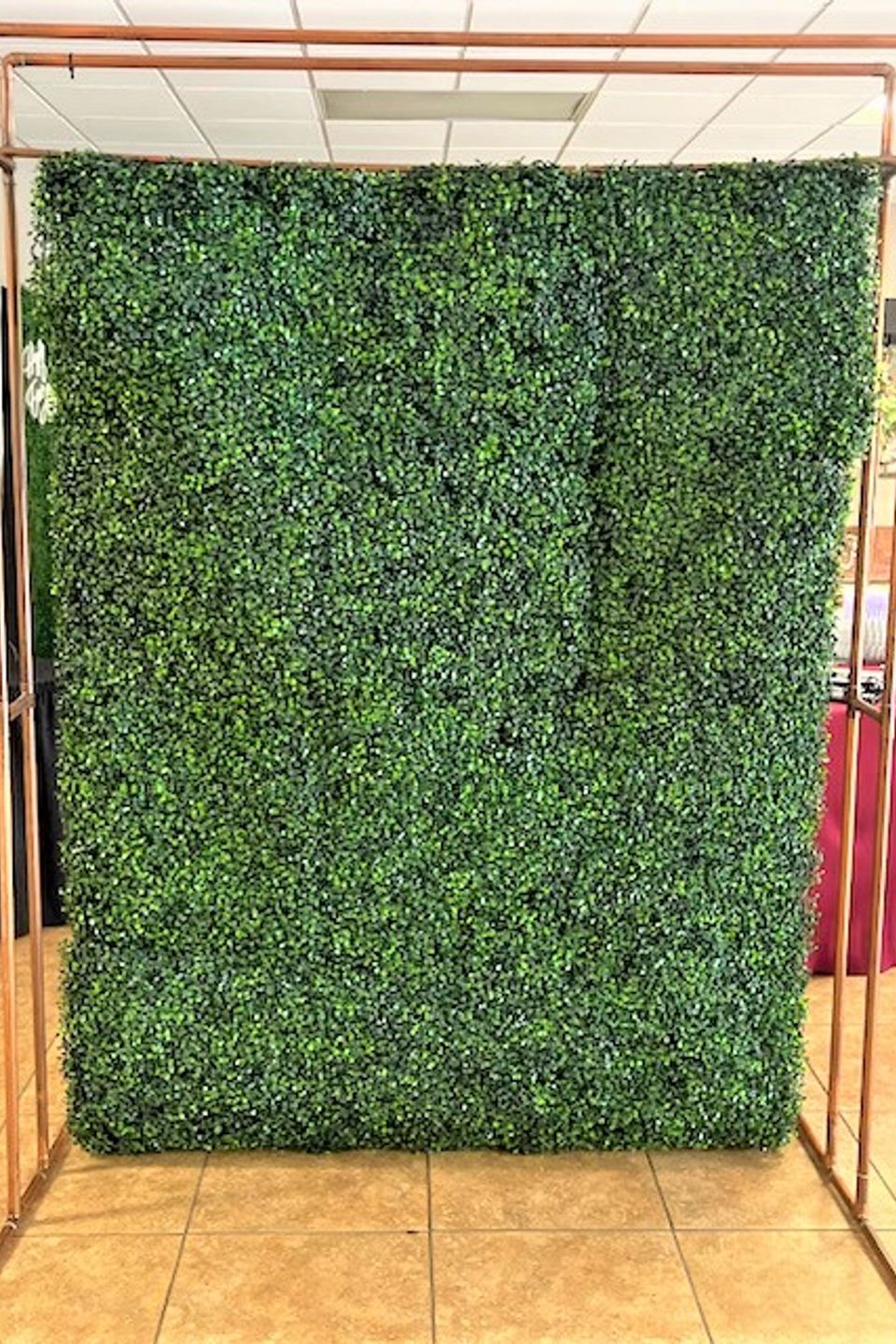 Boxwood back drop