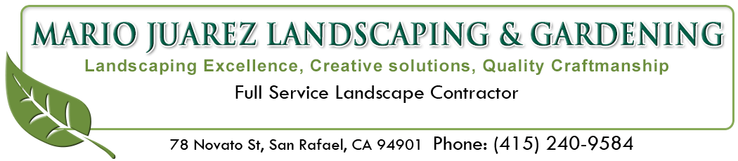 Mario Juarez Landscaping and Gardening