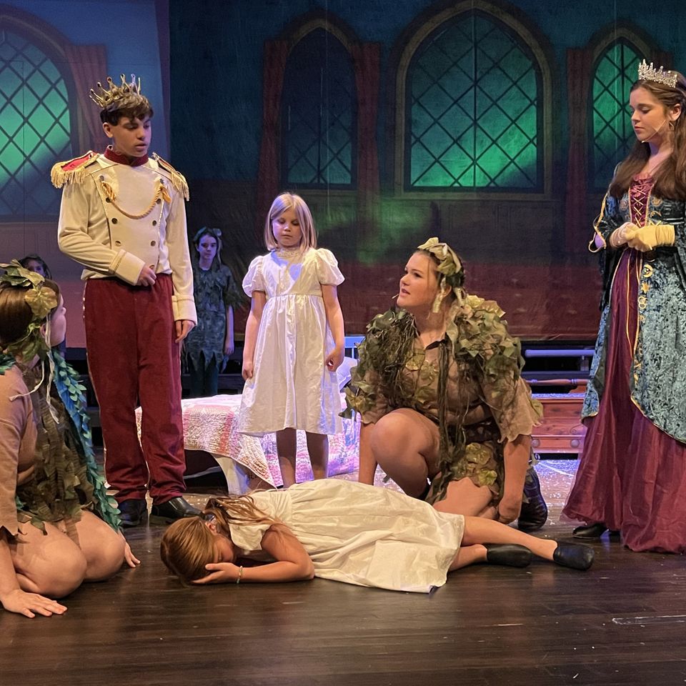 Arts frozen young anna injured 1