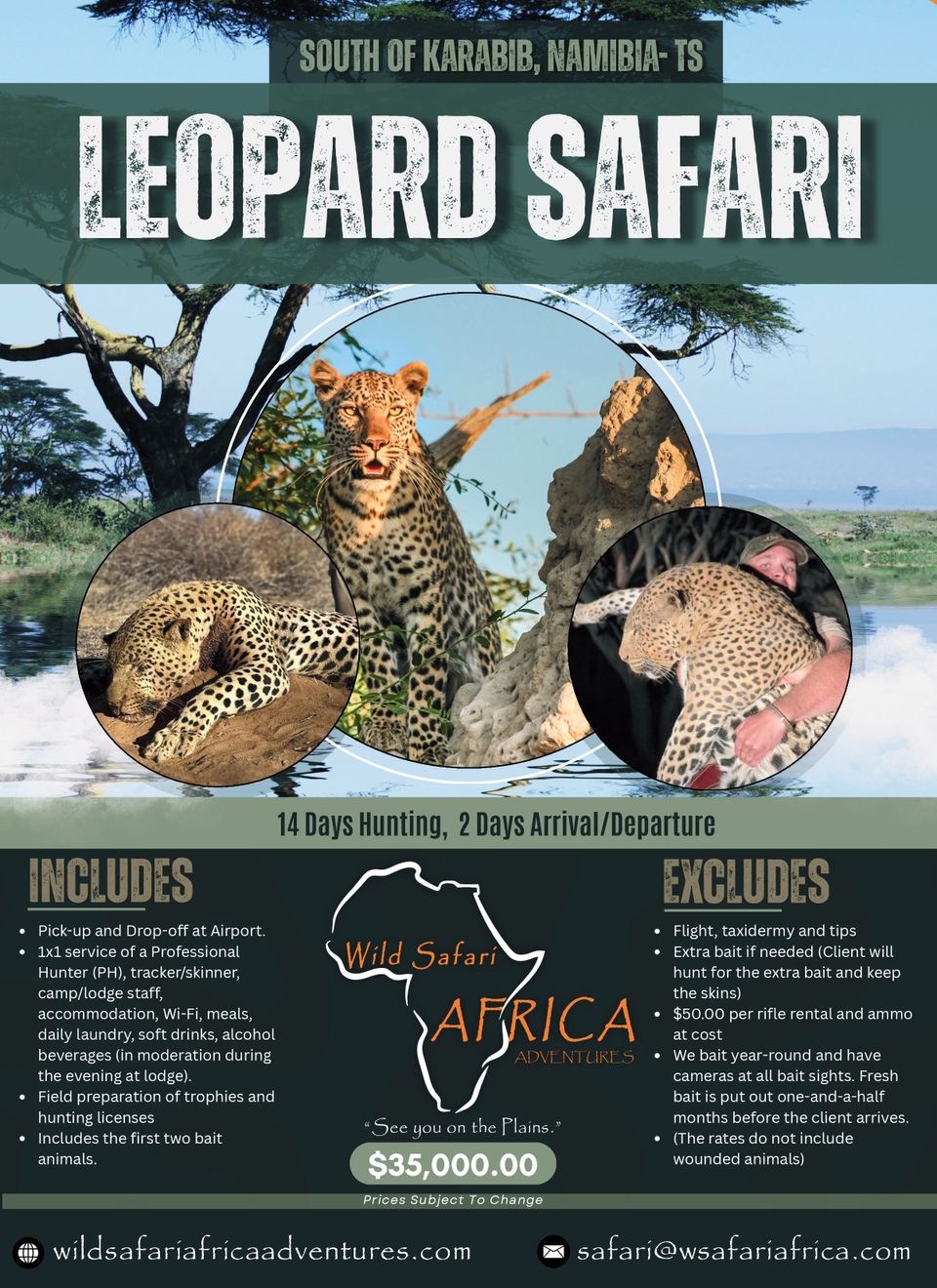 Leopard safari