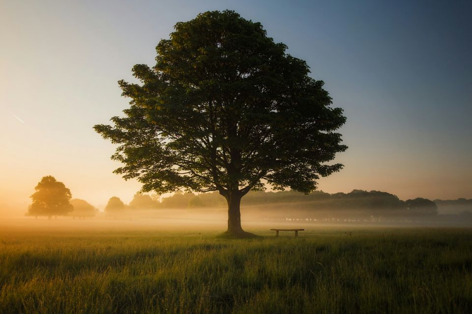 Grief clearer perspective