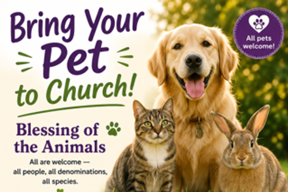 Blessing of animals