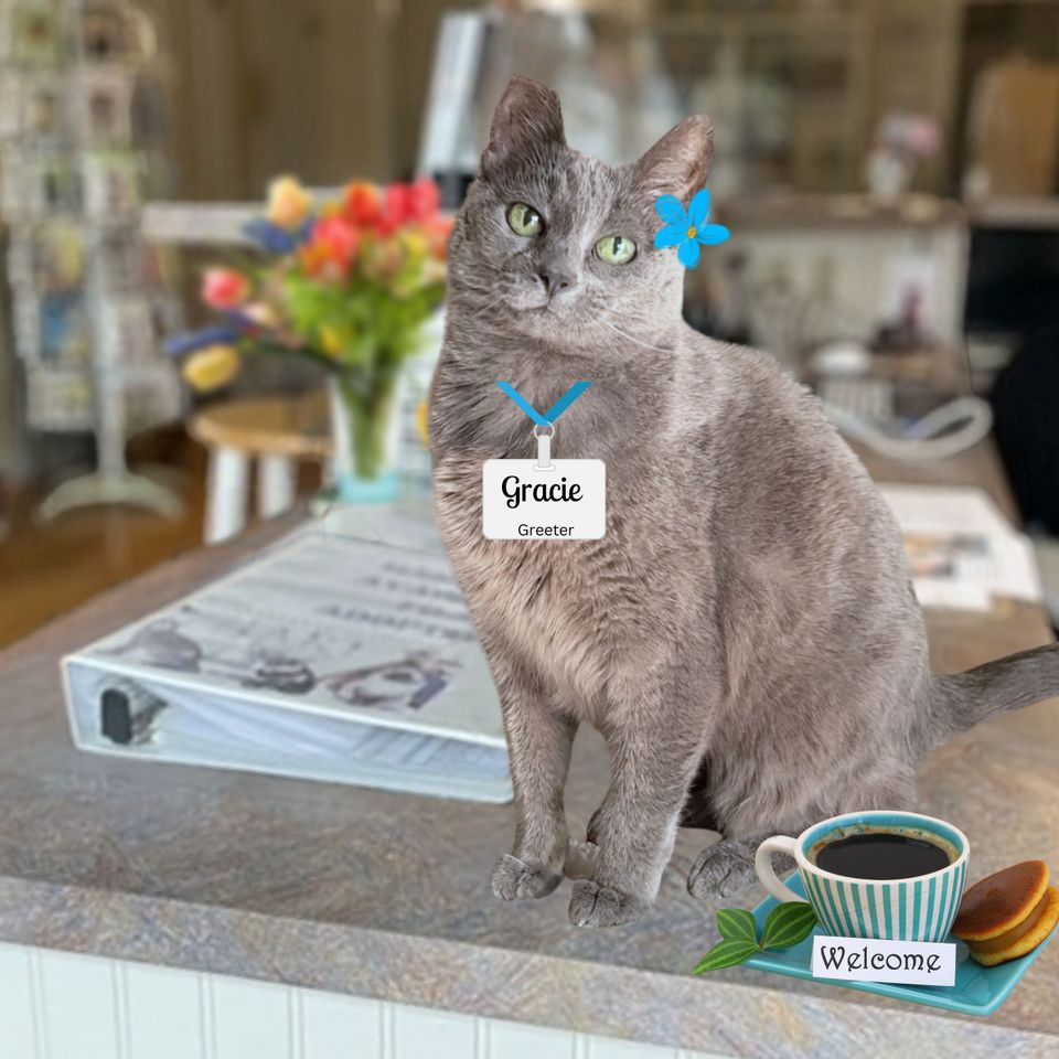 Gigi