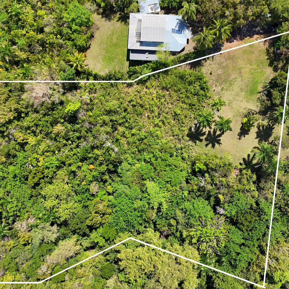 Dji 20250331112742 0402 d 2