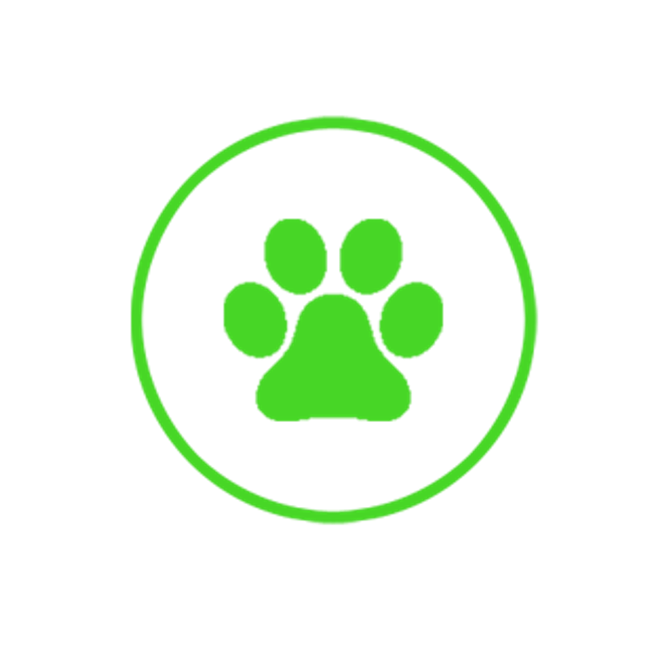 Pet20180313 30393 1qgvwbv