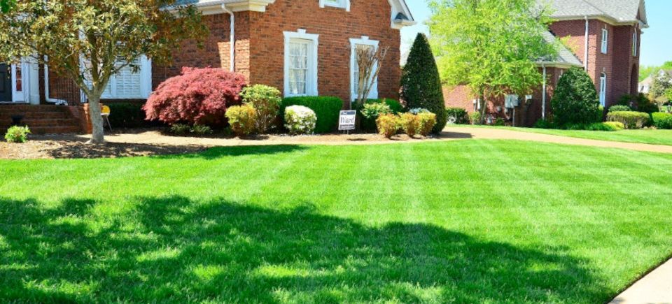 Lawncare lawnmaitenance20170408 1562 i0gpto
