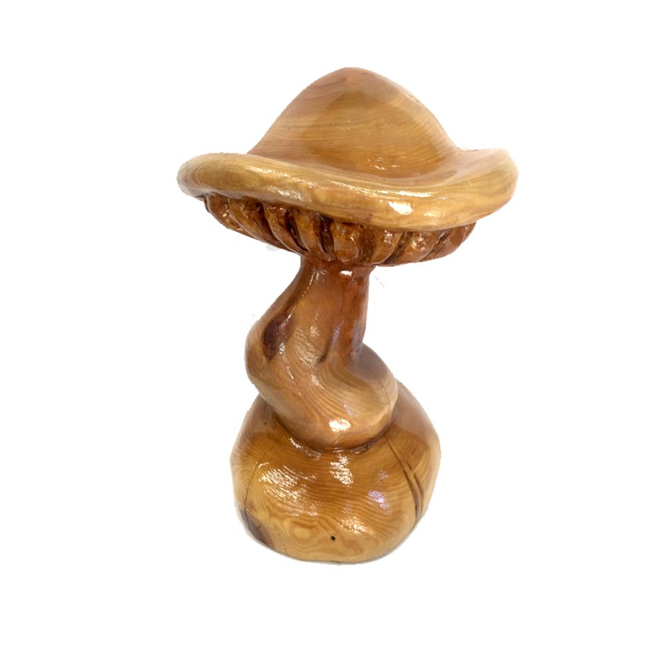 Mushroom20180430 993 mvhz72