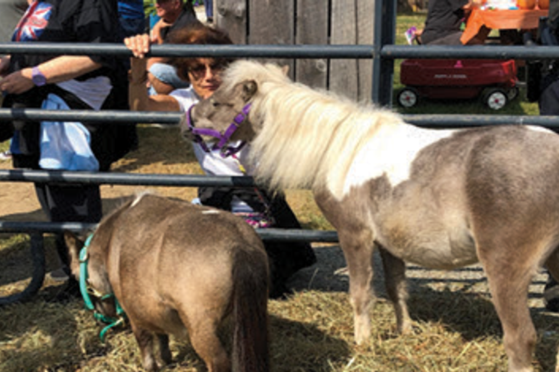 Mt. Pleasant Glass & Ethnic Festival