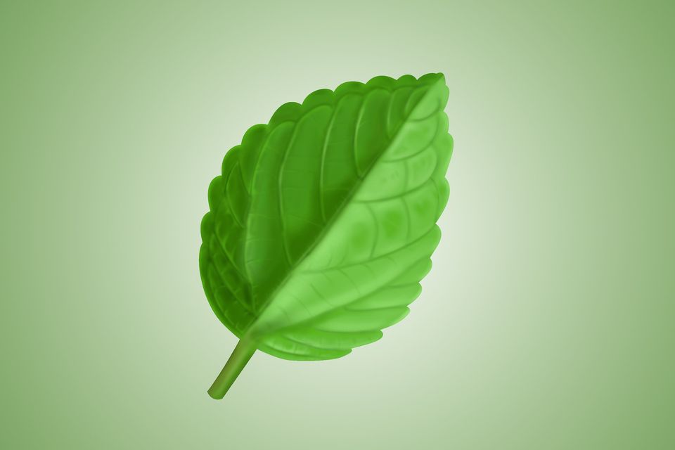 Loginueve ilustra leaf gdd386e7e0 1920