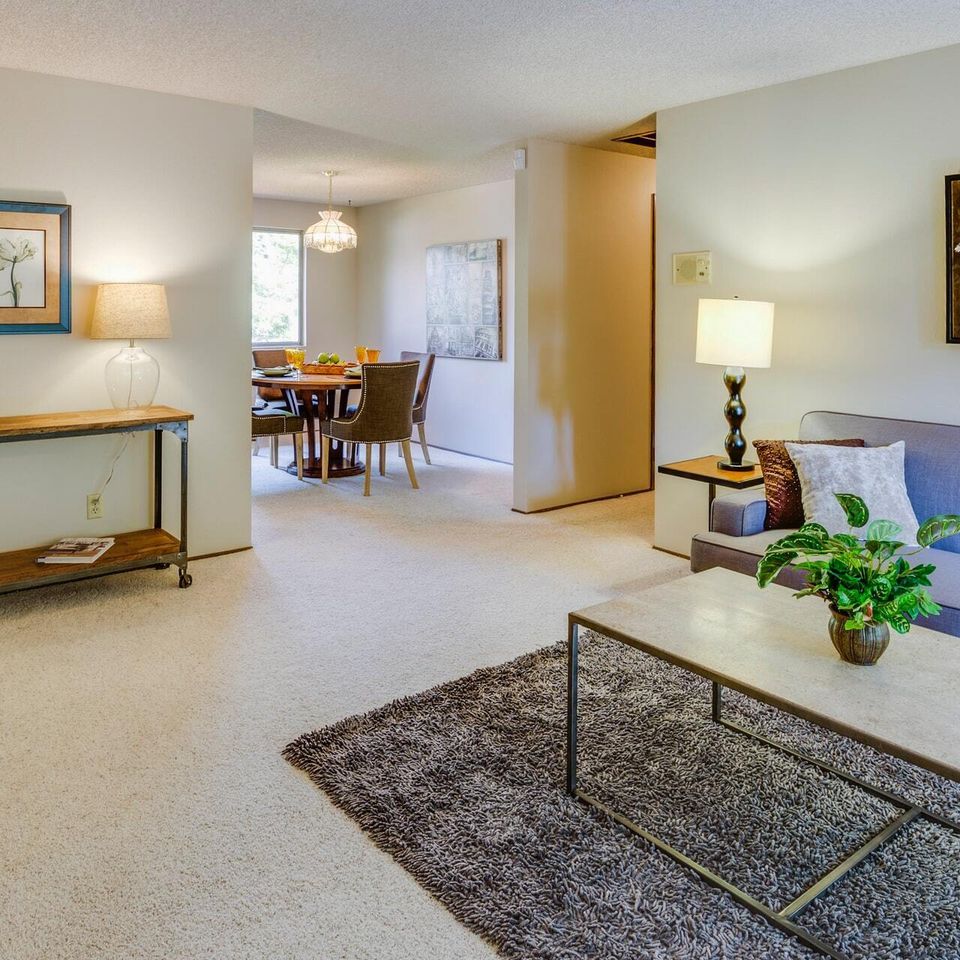 carpet cleaning cullman al