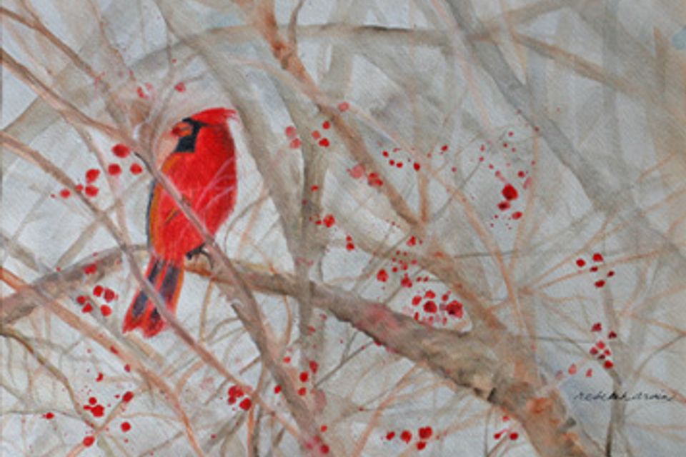 Gallery cardinalandberries