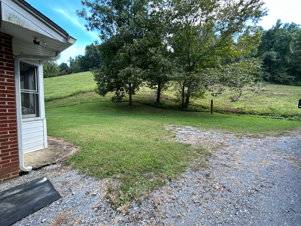 Img 0437