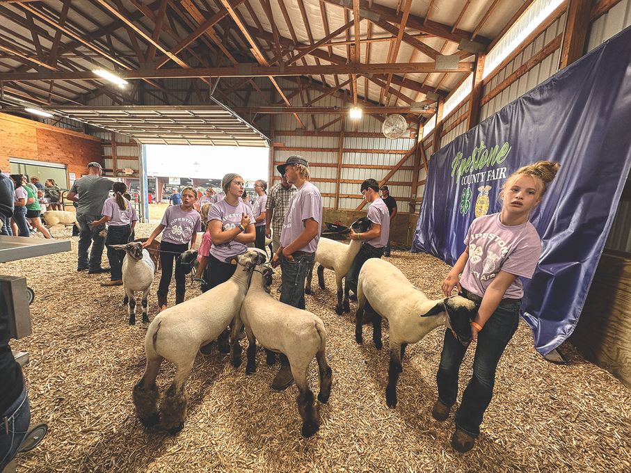 Pipestone County Fair Pipestone, MN