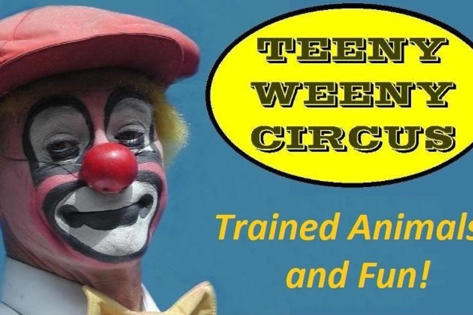 Teeny weeny circus