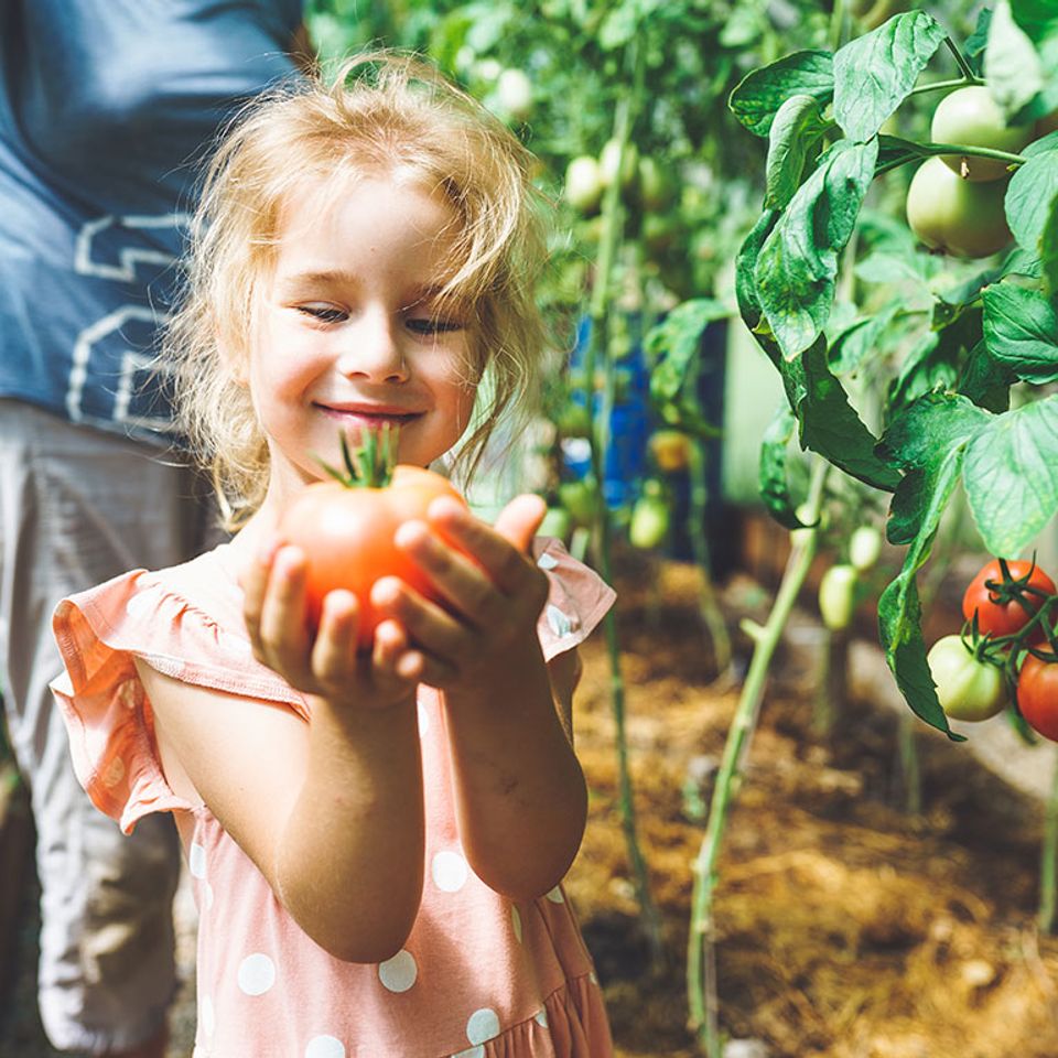 Bloir family farm 5