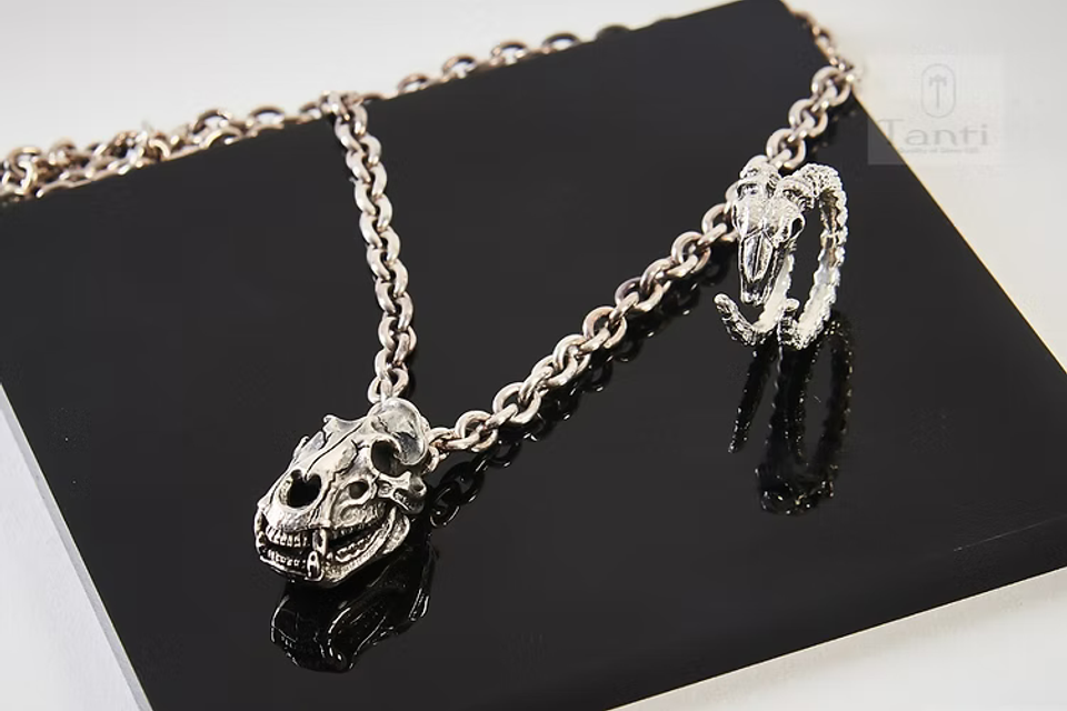 Animal skeleton