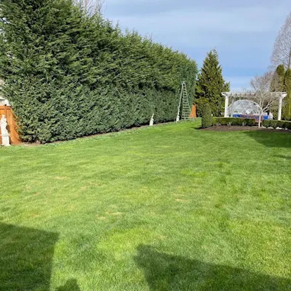 2022 08 28 (4) original