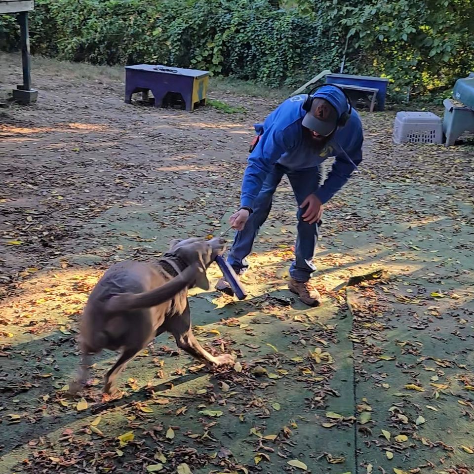 20251001 075846 exported 171926