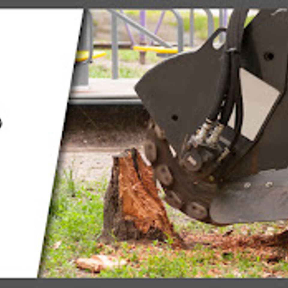 Mt sv2 stump grinding