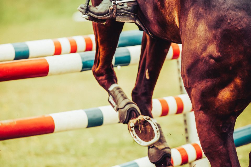 horse riding tips and tricks