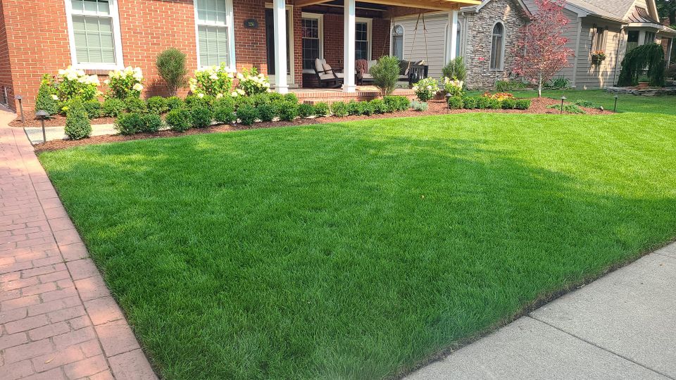 Fresh cut grass, done by Vic's Landscaping