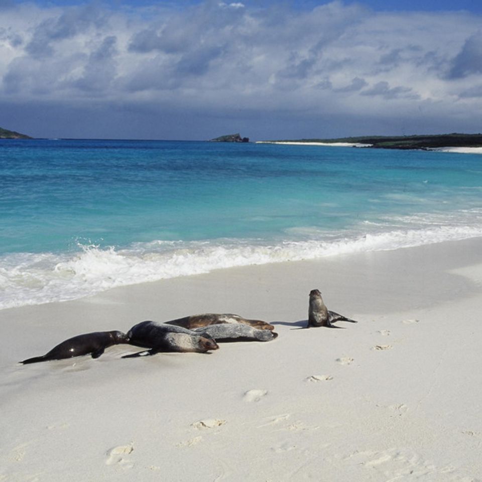 Chuckgraham espanolaisland img05120121130 1865 1piah7t 0
