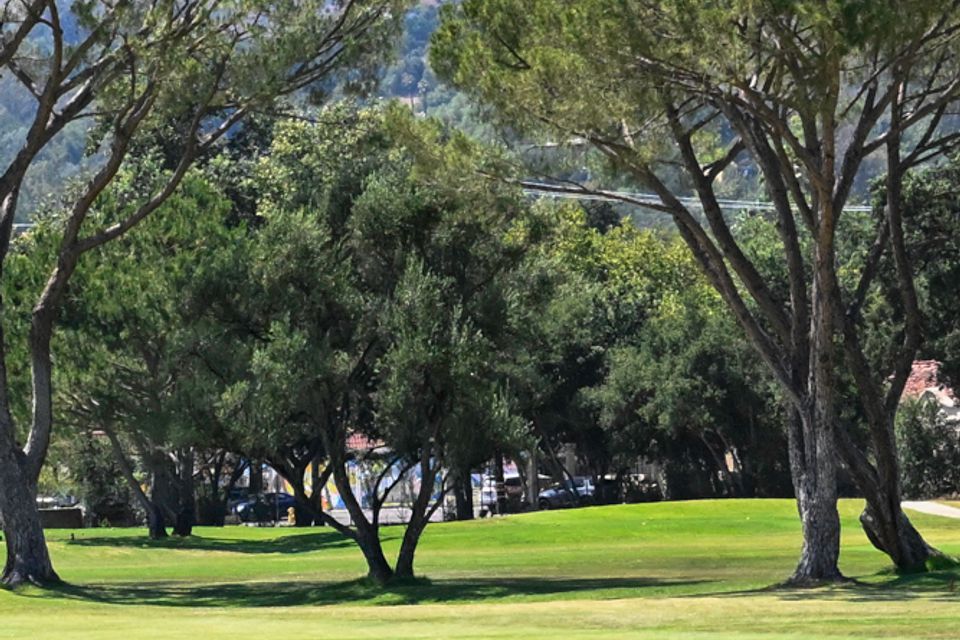 Golf 3