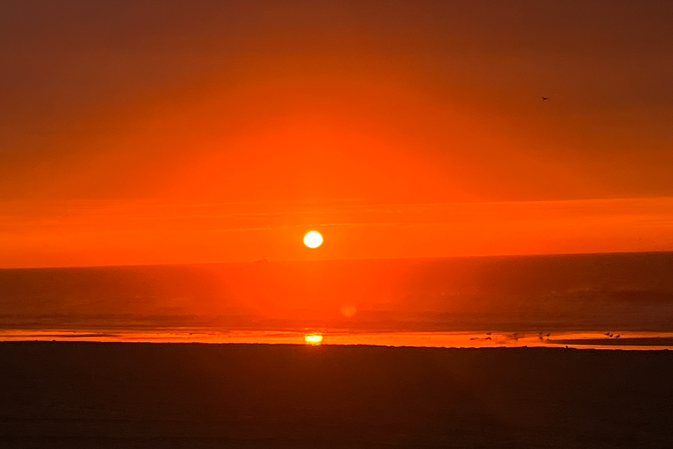 Screenshot 2026 01 15 at 5.55.25 pm