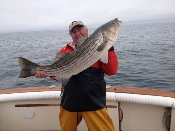 Rob on boat holding huge striped bass   copy