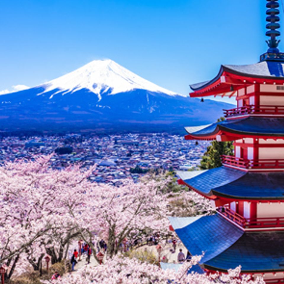 Japan   5 days   4 nights   kyoto