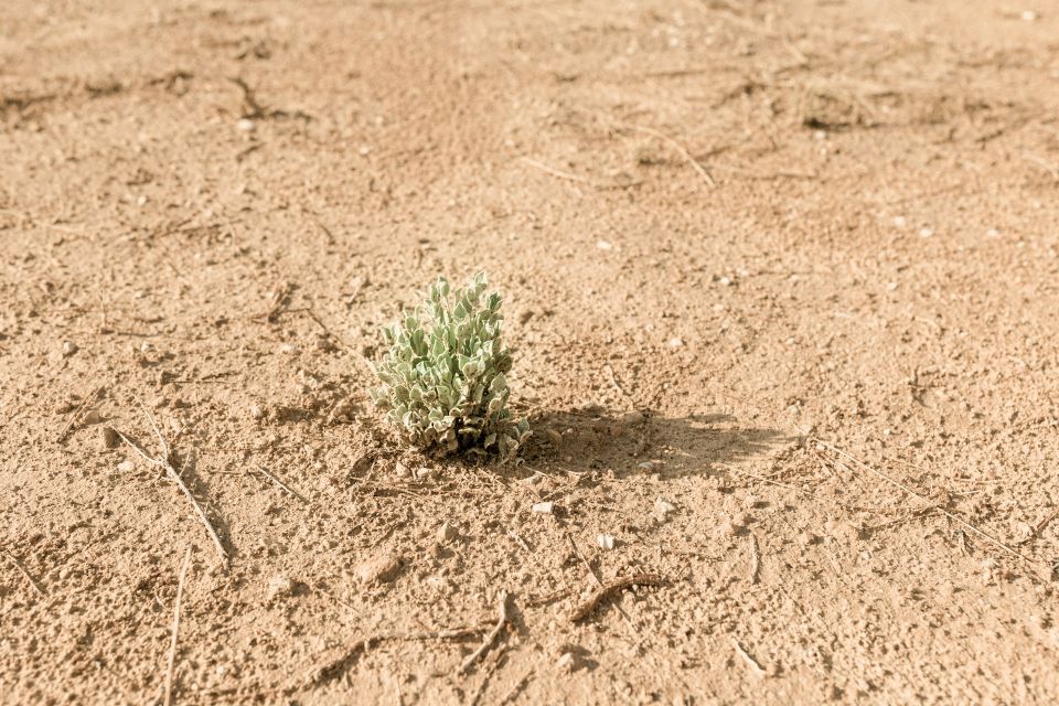 Elena helade t7qvjx9t0f8 unsplash