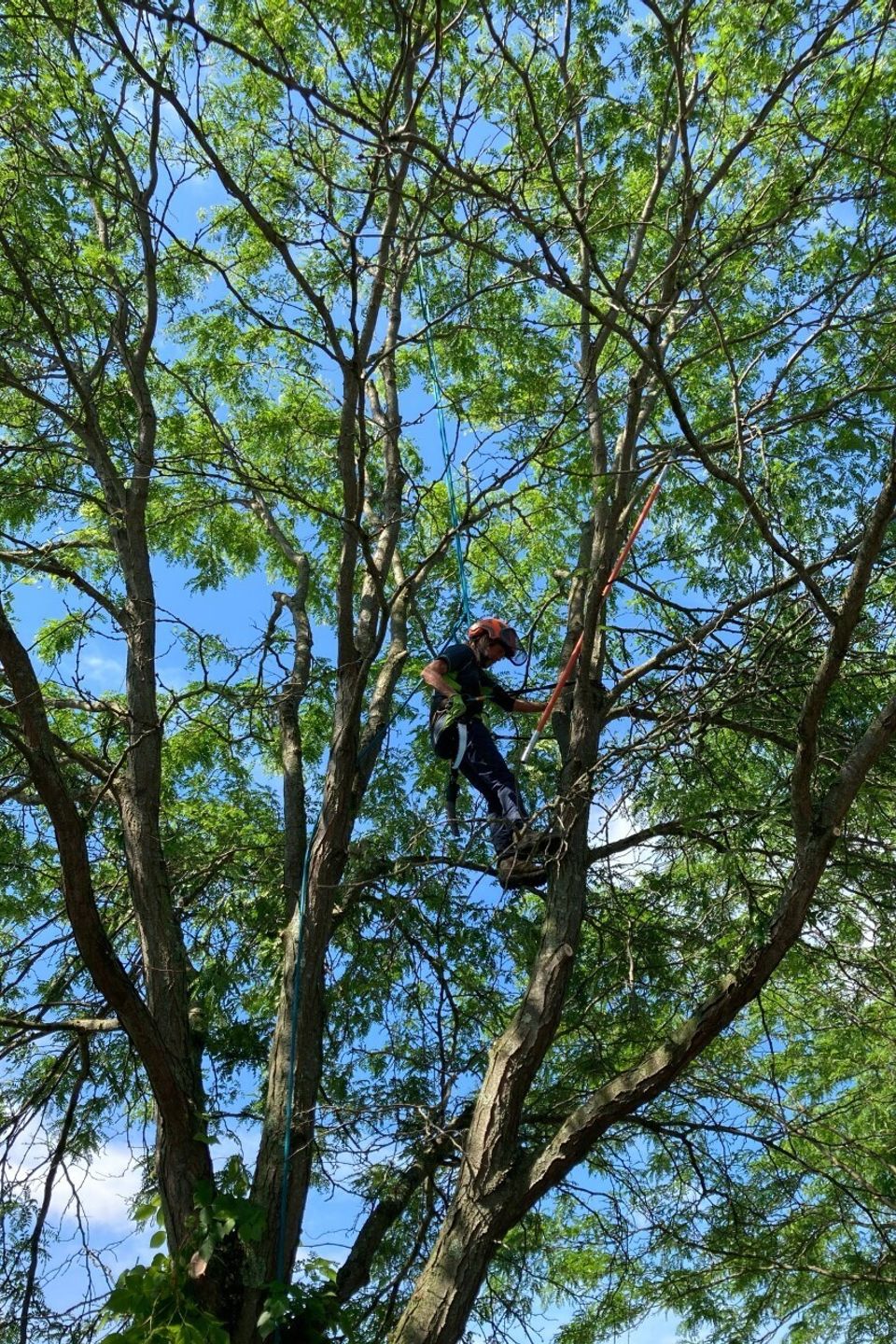 Thumbnail img 5110