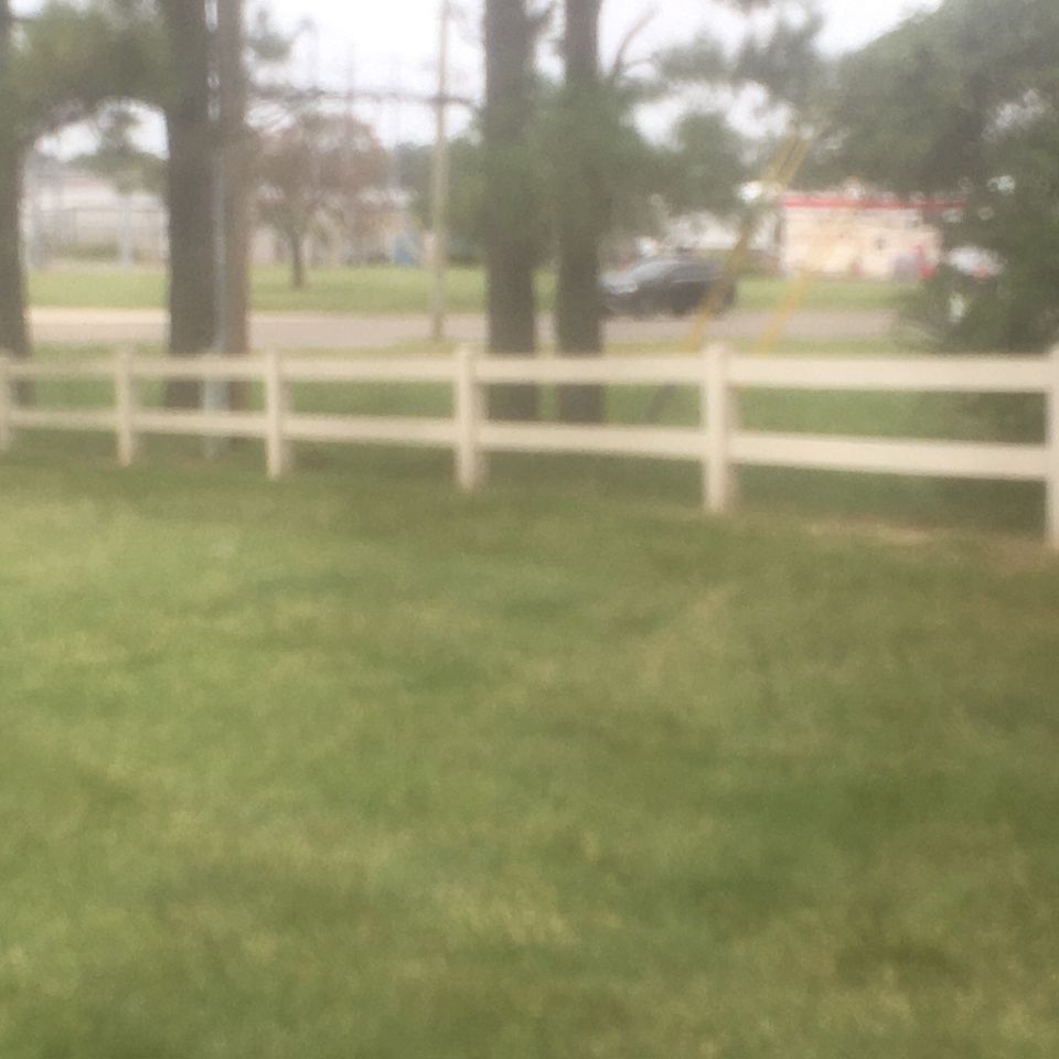 Img 3949