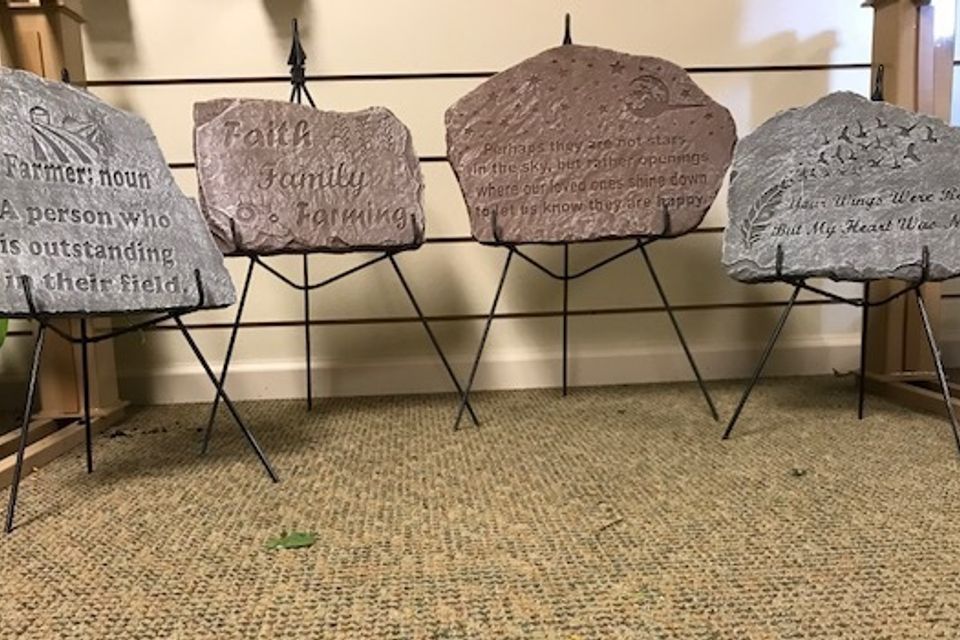 Img 1359