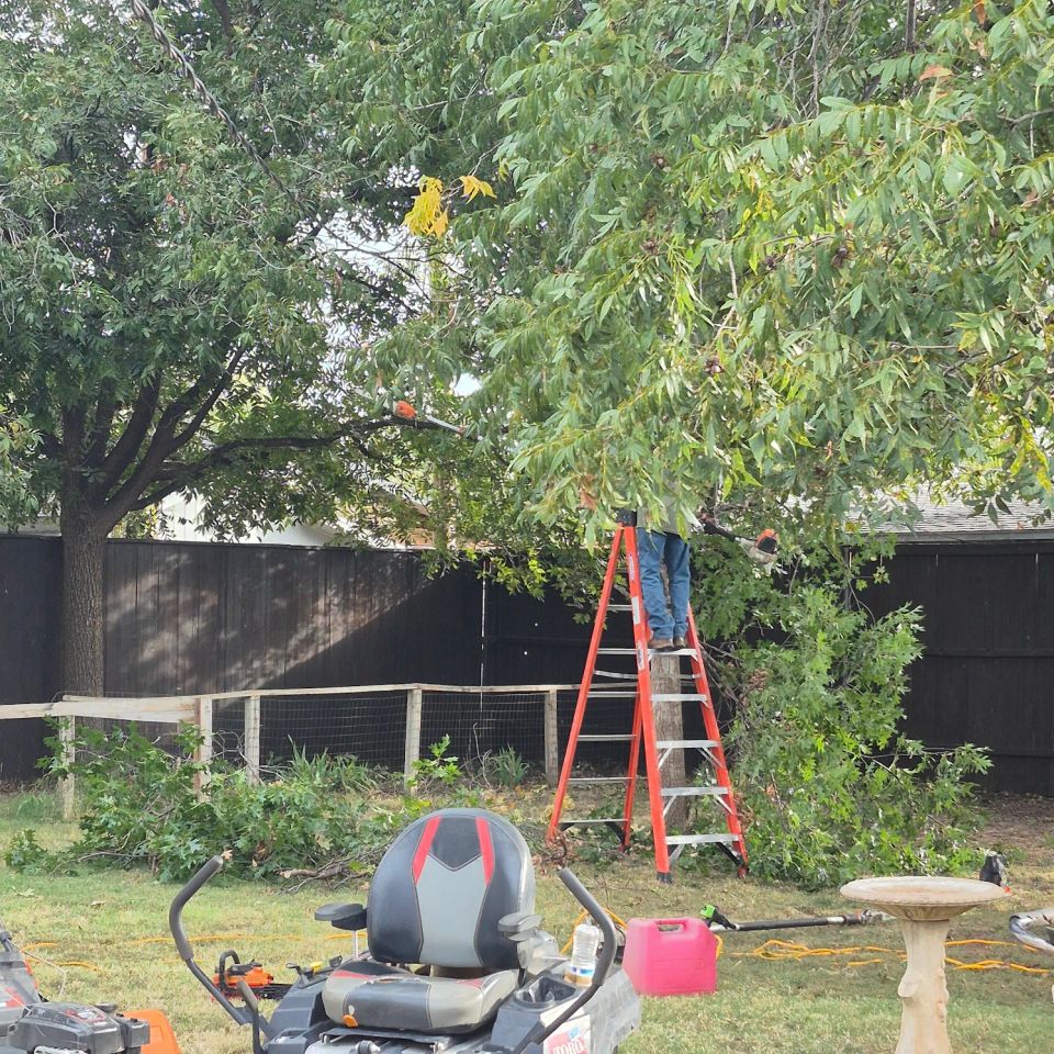 Unnamed original (5)