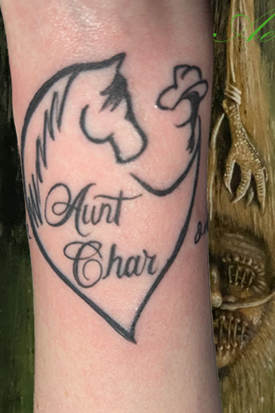 Aerin heart