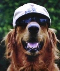 Bo hat shades