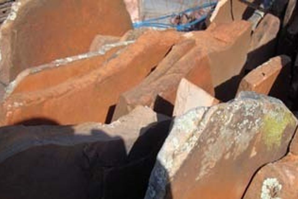 Mossback20170601 21827 1wokw84