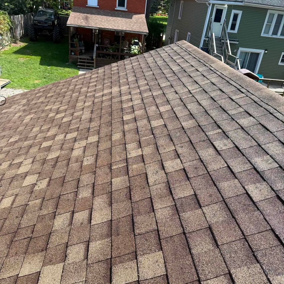 Clean brown asphalt shingle roof after roof cleaning on a Tillsonburg home