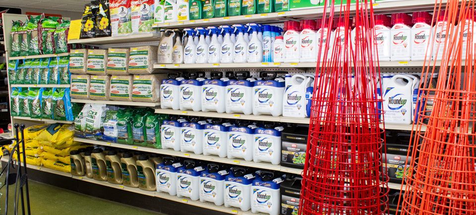 Roundup grass seed
