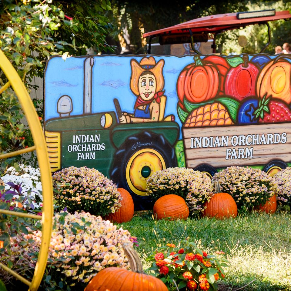 041 moskowphoto©2024