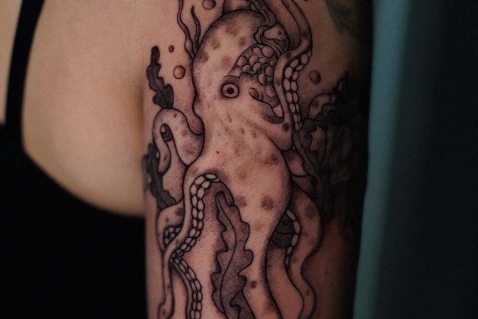 Image of a tattoo of an Octupus in black and grey that appears to be decending and surrounded by kelp