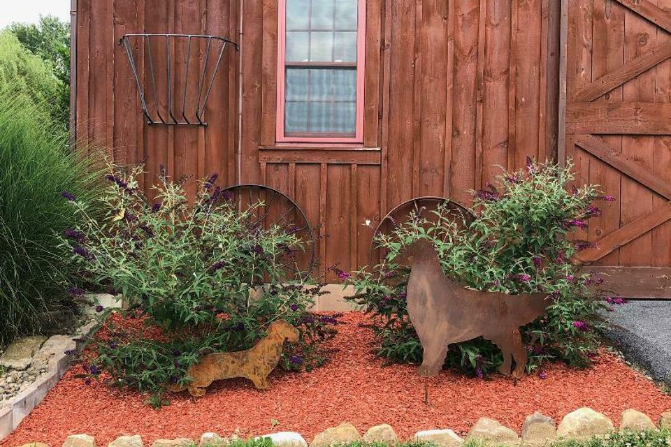 Barn with dog silhouettes