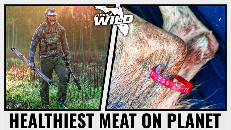 Brian (healthiest meat on planet) thumbnail
