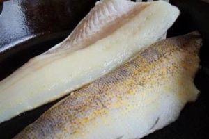 Walleye fillets