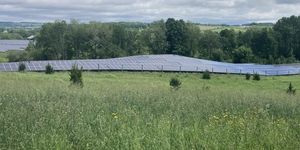 Solar field