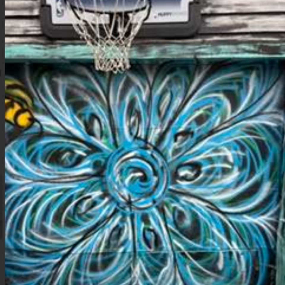 Brandon blue flower garage door