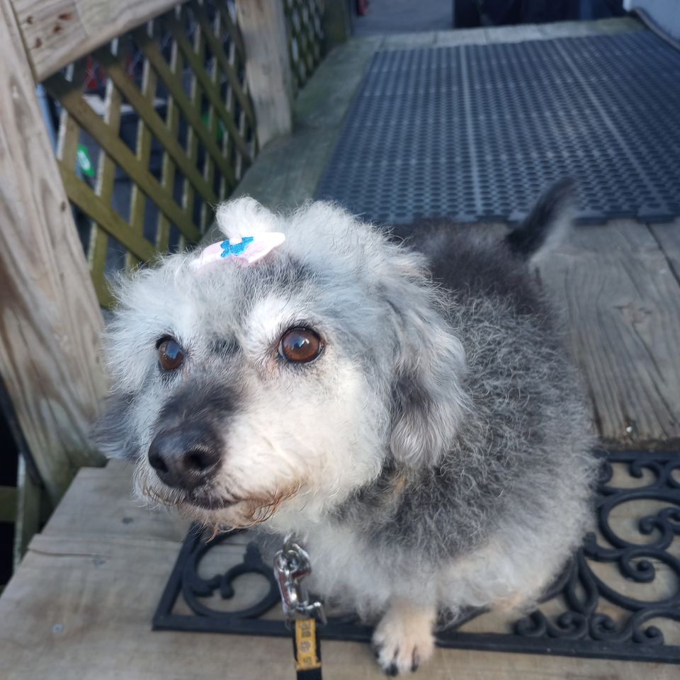 Img 20240115 115337536